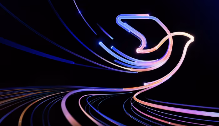 Marcus 的个人说明书